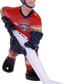 PICK HOME TEAM OPTIONS_HIDDEN_PRODUCT Innovative Concepts in Entertainment, Inc. Florida Panthers  