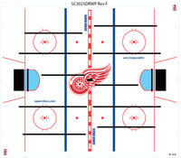 Detroit Red Wings Logo ICE